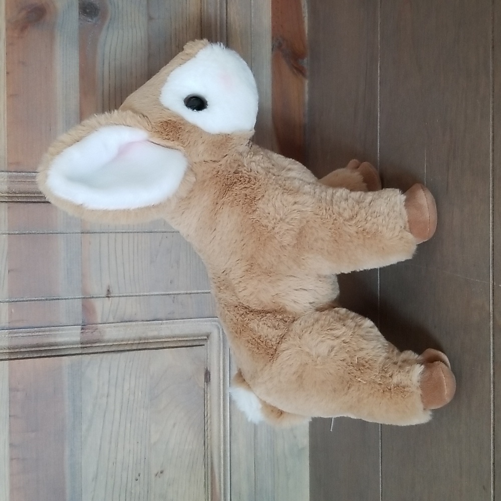 Douglas Fernie Fawn Deer Plush - Picture 11 of 14